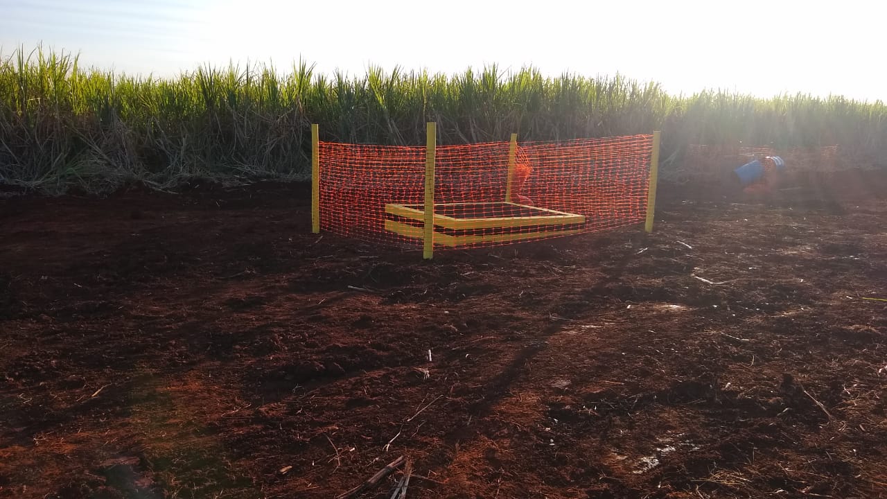 Amyris — Unidade Barra Bonita — foto 8