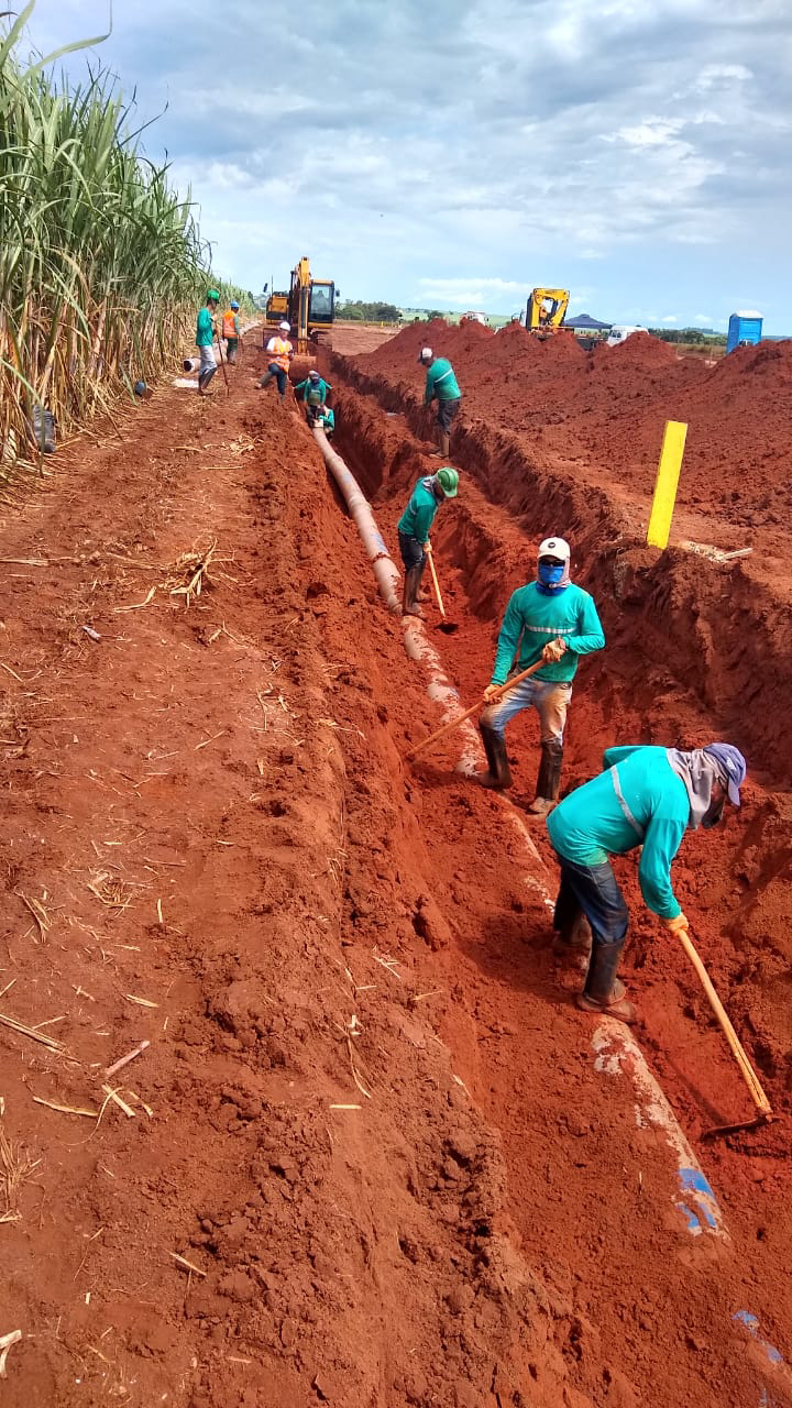 Bioenergética Aroeira — foto 16