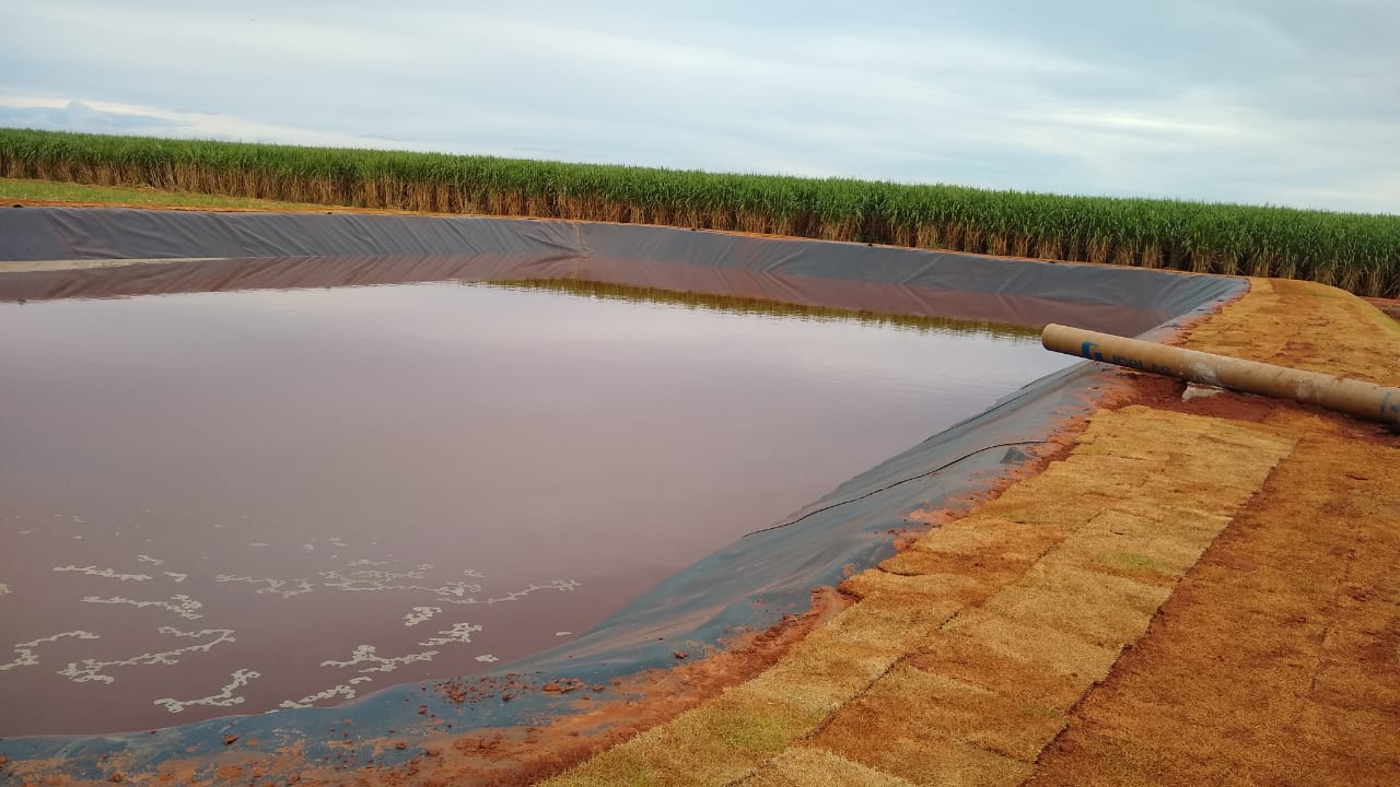 Bioenergética Aroeira — foto 8