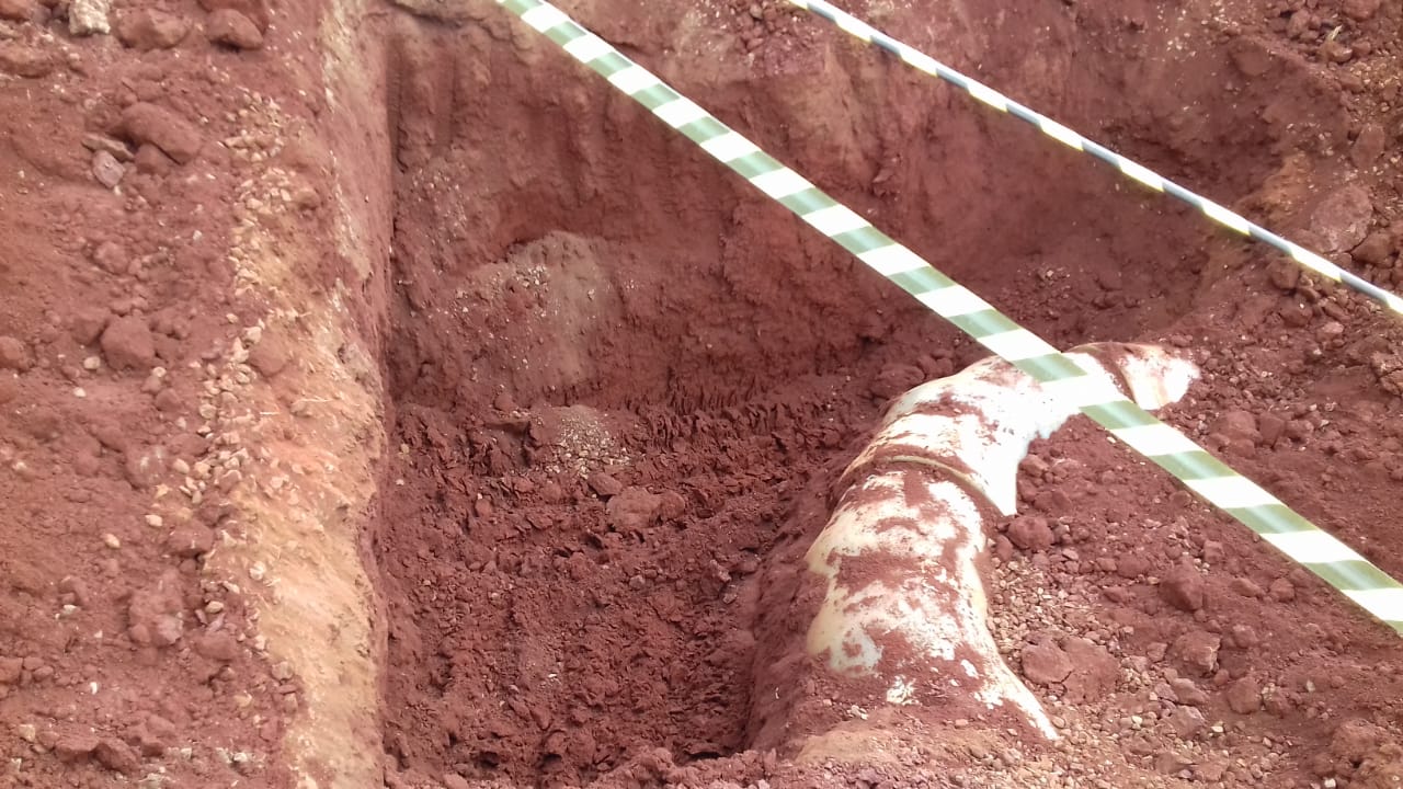 Biosev — Unidade Rio Brilhante — foto 3