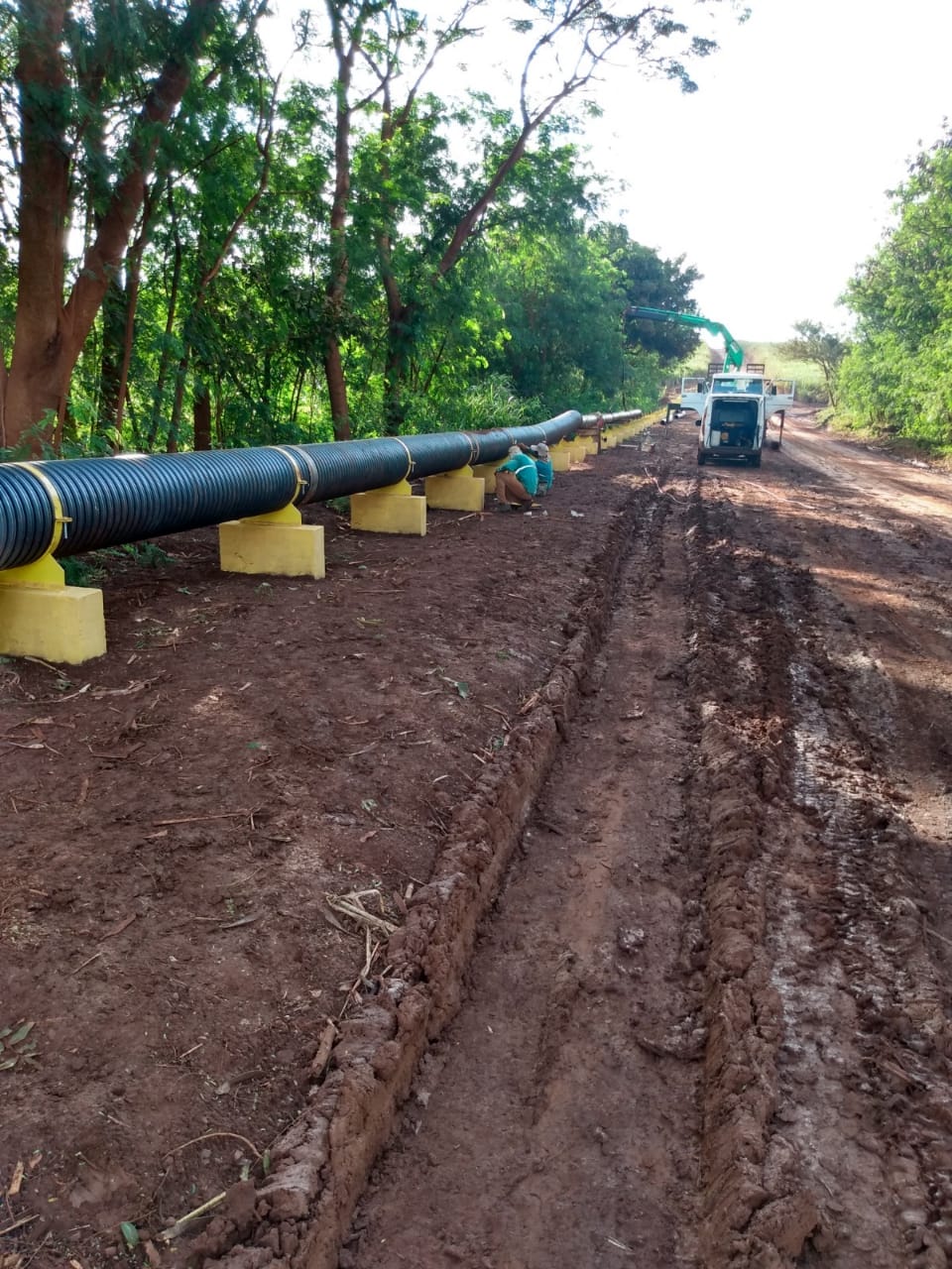 Biosev — Unidade MB — foto 25