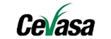 Cevasa